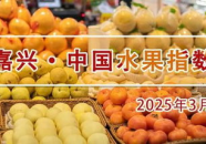 水果市场行情,特色水果价格跳水，荔枝榴莲价格波动，西瓜杨梅走俏”