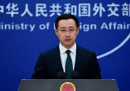 娱乐吃瓜委会副会长,幕后故事与影响力解析