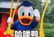 娱乐吃瓜鸭微博,揭秘娱乐圈幕后故事