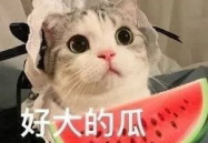 我不是废柴娱乐吃瓜,我不是废柴，我是吃瓜达人